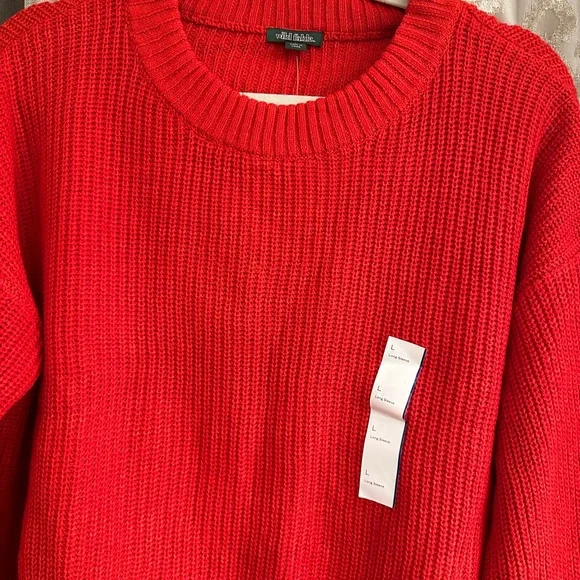 Wild Fable Red Boxy Crewneck Pullover Sweater Size Large - Picture 6 of 9